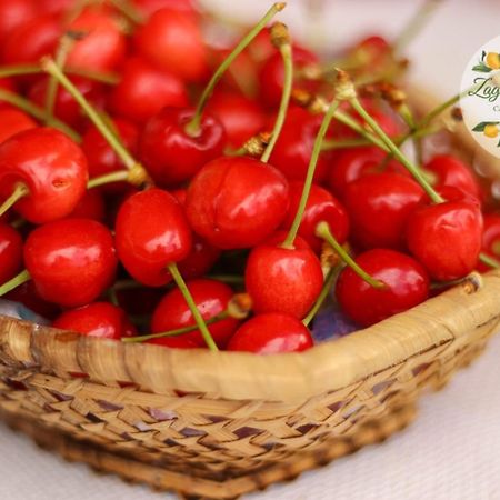 Appartamento Zagare E Limoni Ostuni Esterno foto