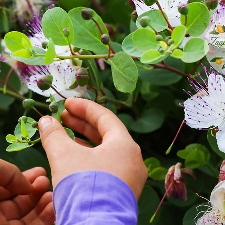 Appartamento Zagare E Limoni Ostuni Esterno foto