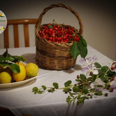 Appartamento Zagare E Limoni Ostuni Esterno foto