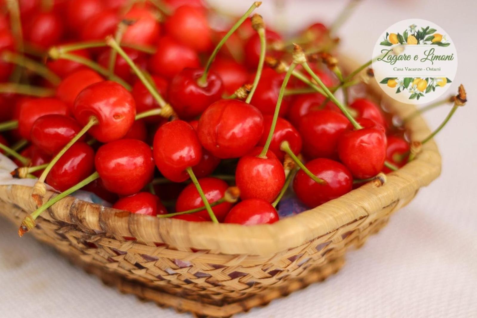 Appartamento Zagare E Limoni Ostuni Esterno foto