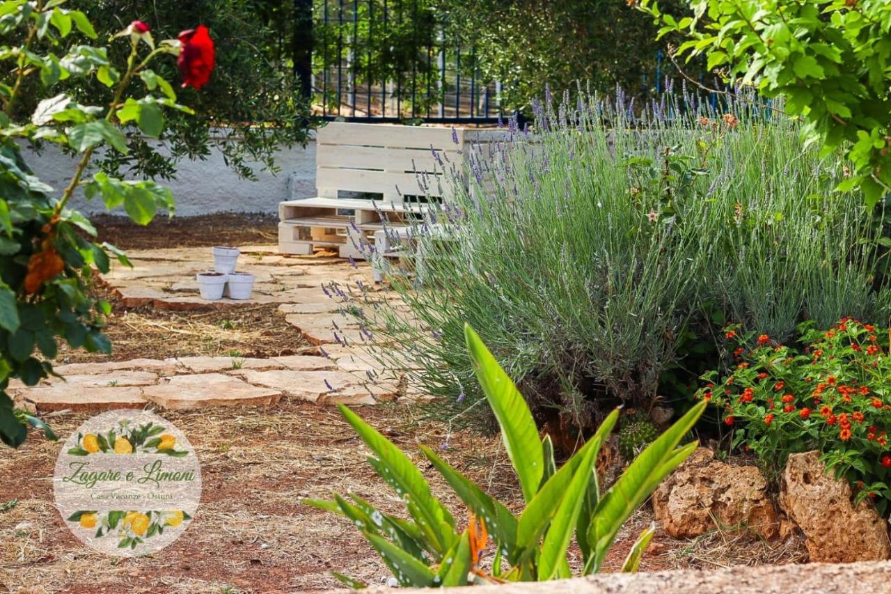 Appartamento Zagare E Limoni Ostuni Esterno foto