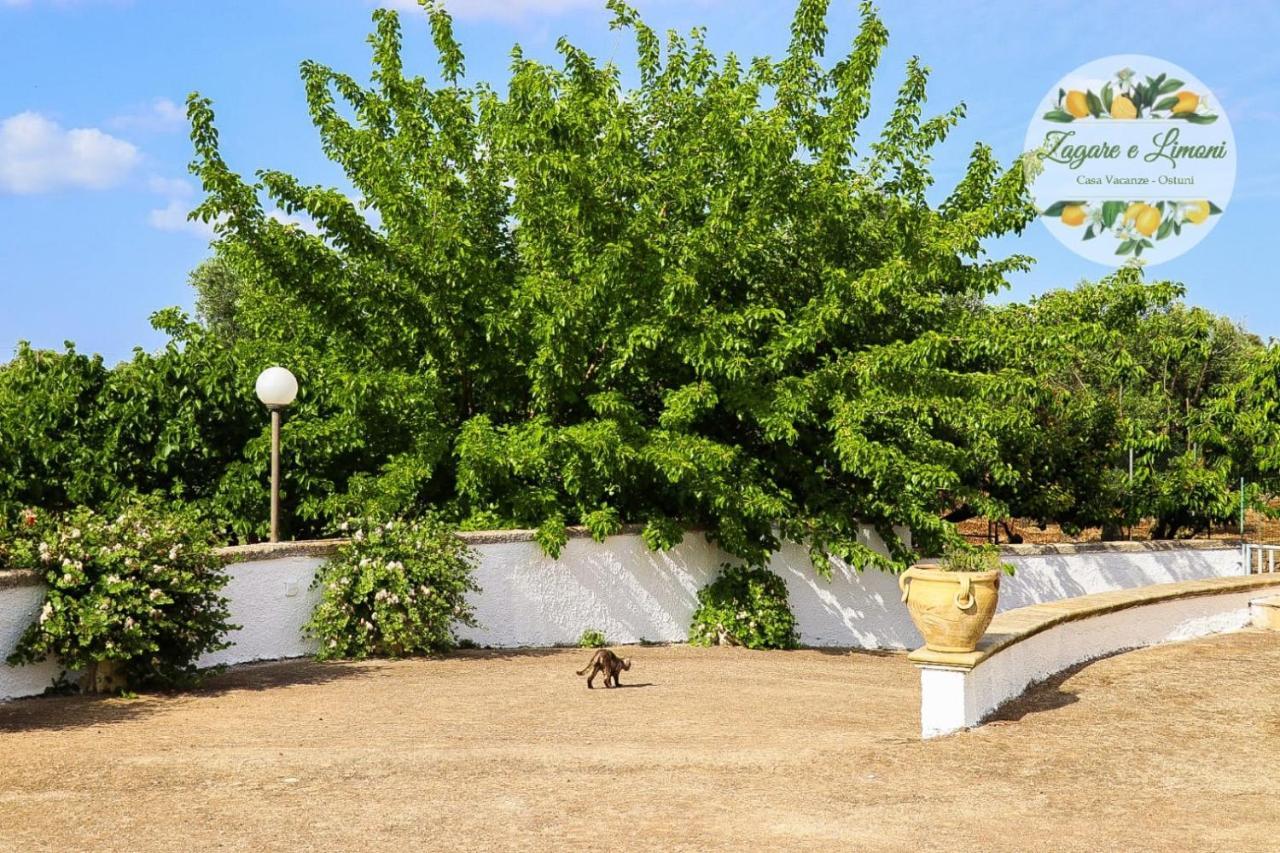 Appartamento Zagare E Limoni Ostuni Esterno foto
