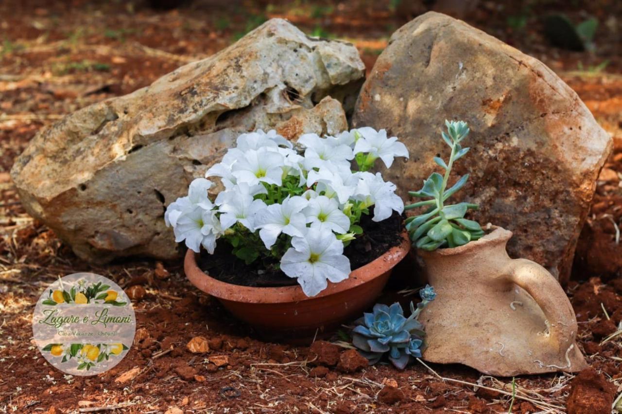 Appartamento Zagare E Limoni Ostuni Esterno foto