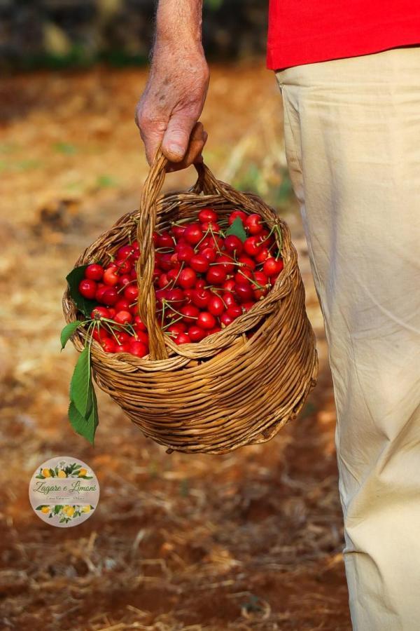 Appartamento Zagare E Limoni Ostuni Esterno foto
